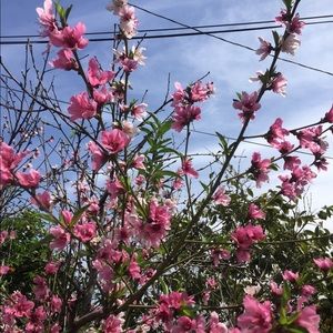 Meet your Posher, Marisol